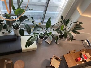 陕西景成建设工程有限公司