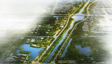 新立河西路（黄河二路至长江三路）路西绿化提升改造工程
