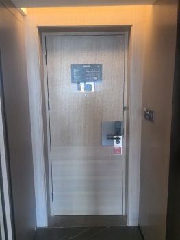 现代极简酒店客房木门