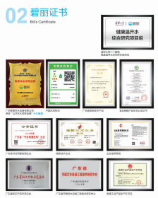 广东碧丽饮水设备有限公司