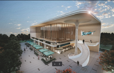 四川国际友好中心体育馆扩建工程慨念