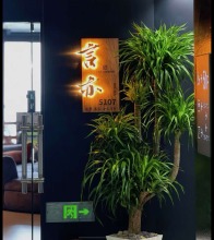 言亦空间设计（东莞市）有限公司