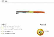 GJFJV 室内束状光缆