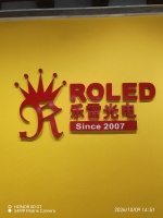 乐雷光电（中国）有限公司